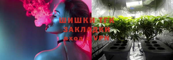 гашик Аркадак