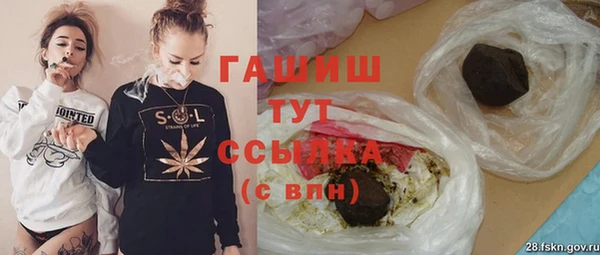 индика Армянск