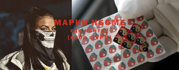 гашик Аркадак