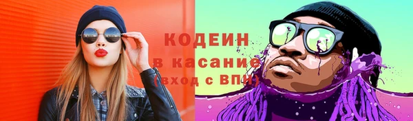 гашик Аркадак