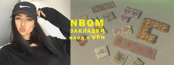 индика Армянск
