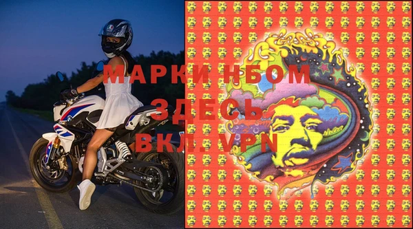 гашик Аркадак