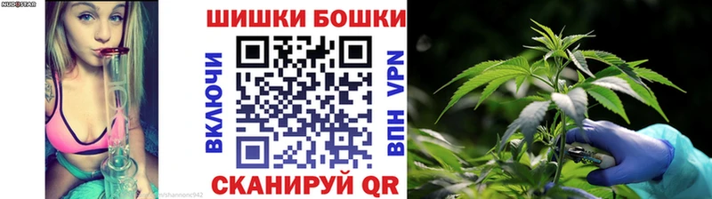 Марихуана план  Купить  Медногорск 